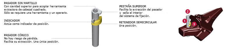 Cambio de dientes rápido y seguro