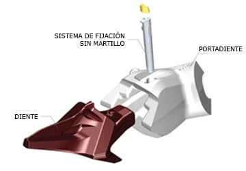 Cambio de dientes rápido y seguro