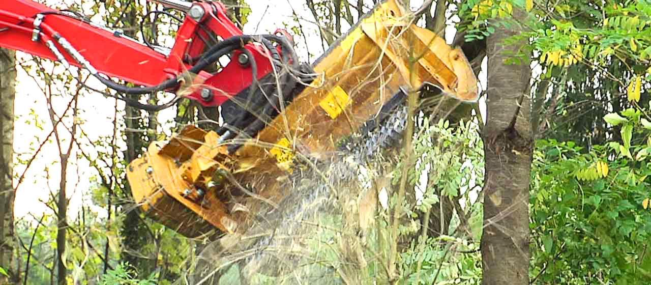 Trituradora forestal liviana Mini-BMS